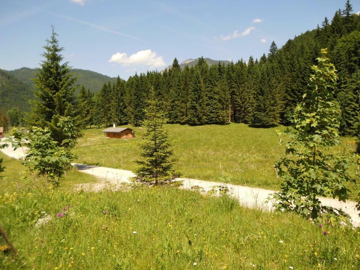 Seewiesenalm Reit im Winkl Exteriér fotografie