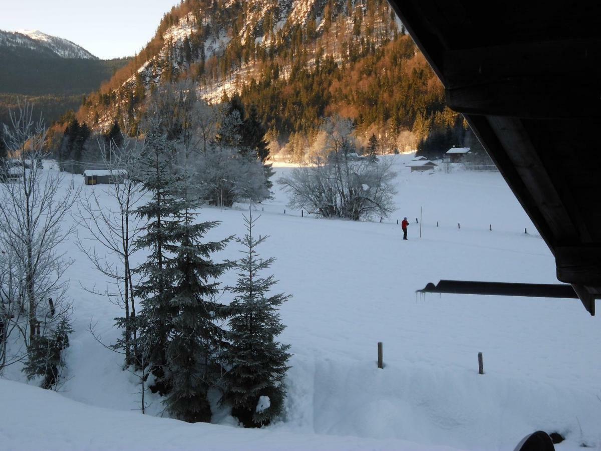 Seewiesenalm Reit im Winkl Exteriér fotografie